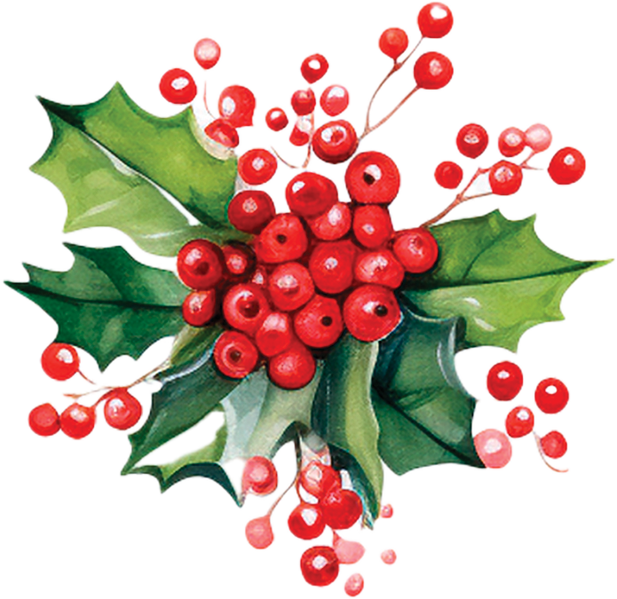 Cakes by Katya Cafe and Bakery Christmas Menu